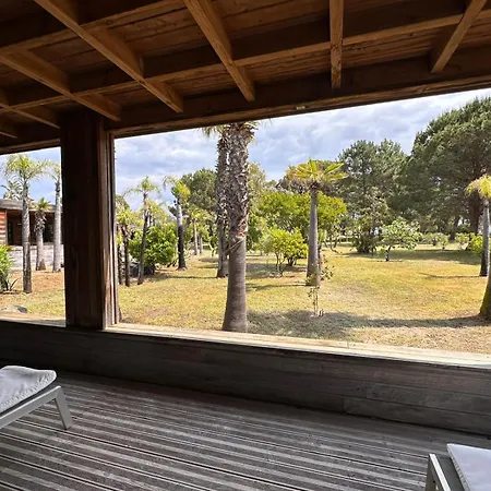 Pineto, 3 Au Coeur De La Pinède Biguglia (Corsica)