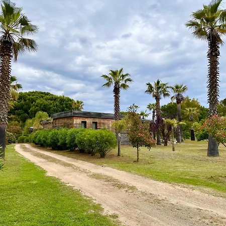 Pineto, 3 Au Coeur De La Pinède *