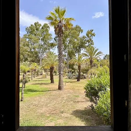 Villa Pineto, 3 Au Coeur De La Pinede