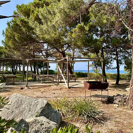 Pineto, 3 Au Coeur De La Pinede Villa Biguglia (Corsica)
