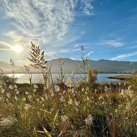 Pineto, 3 Au Coeur De La Pinede Biguglia (Corsica)