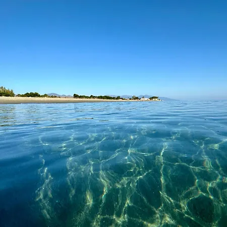 Villa Pineto, 3 Au Coeur De La Pinede *