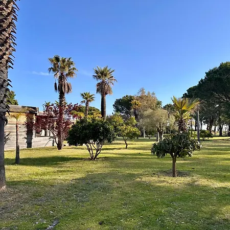 Pineto, 3 Au Coeur De La Pinede * Biguglia (Corsica)
