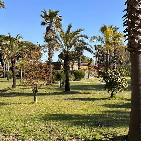 Villa Pineto, 3 Au Coeur De La Pinede