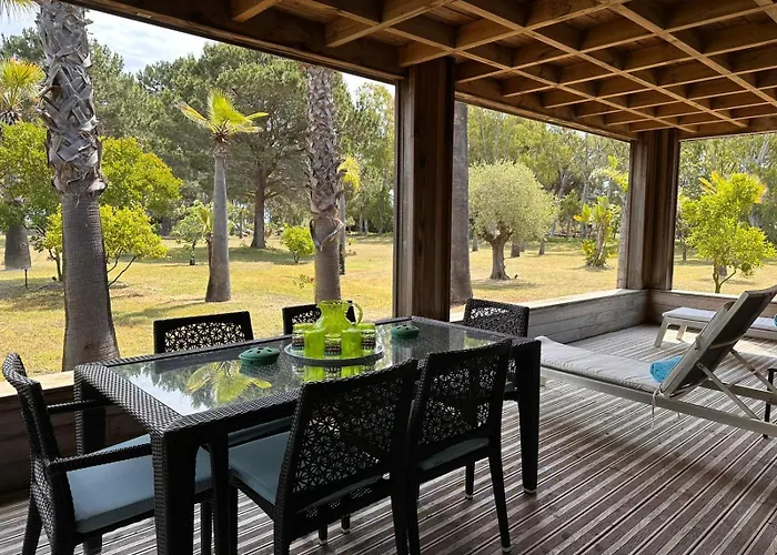 Pineto, 3 Au Coeur De La Pinede *