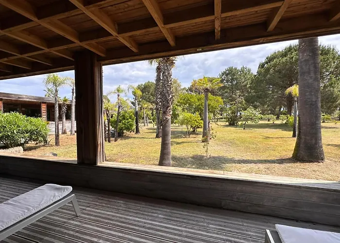 Pineto, 3 Au Coeur De La Pinede Biguglia (Corsica)