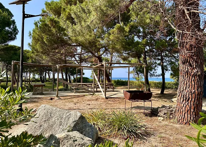 Pineto, 3 Au Coeur De La Pinede Villa Biguglia (Corsica)