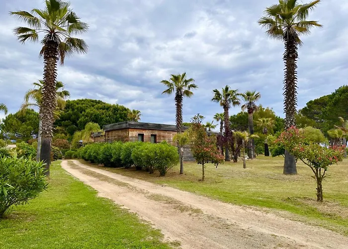 Pineto, 3 Au Coeur De La Pinede *