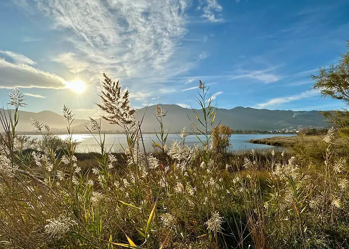 Pineto, 3 Au Coeur De La Pinede Biguglia (Corsica)