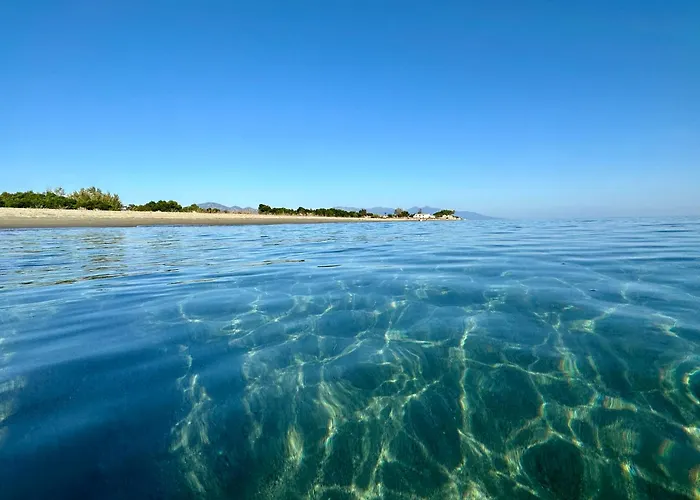 Villa Pineto, 3 Au Coeur De La Pinede *